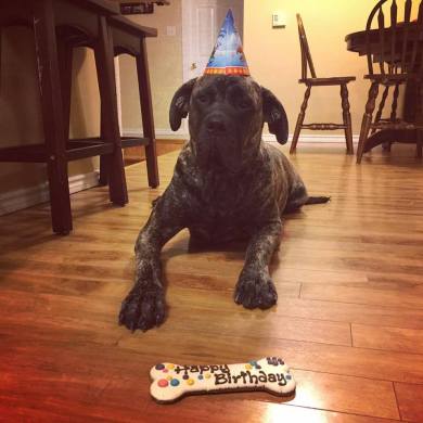 15171325_10157676330410184_2144920526003087094_n-2